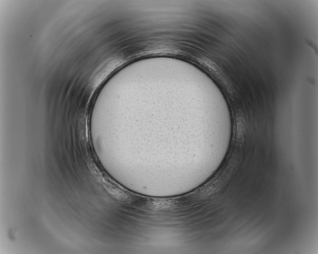 X0000102761274200809151006