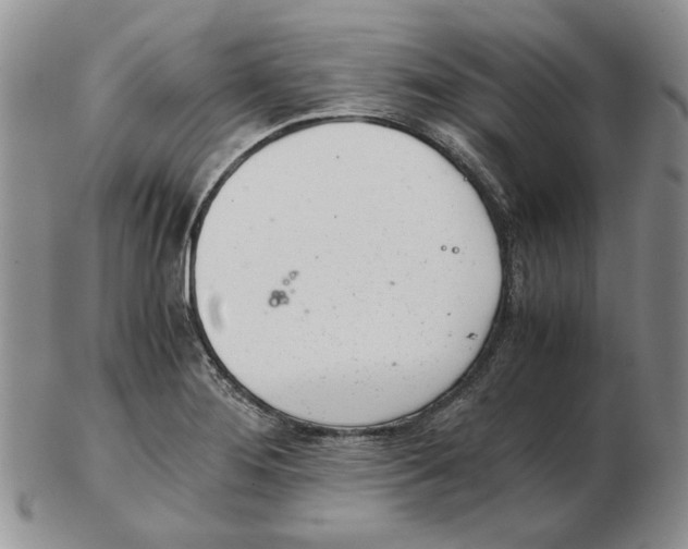 X0000102761276200809151006