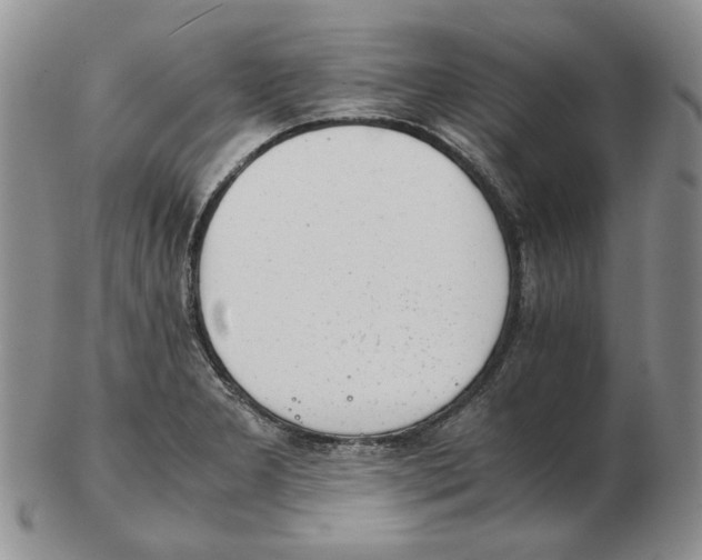 X0000102761277200809151006