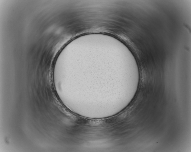 X0000102761278200809151006