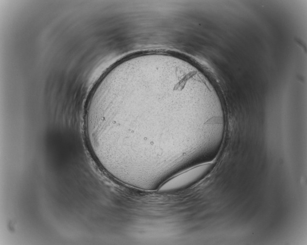 X0000102761279200809151006