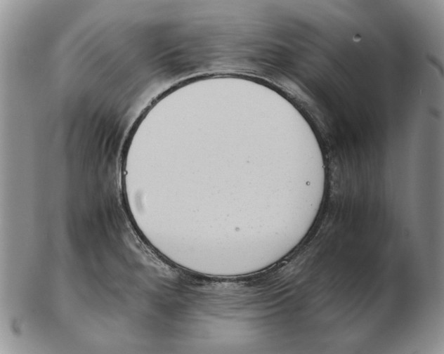 X0000102761280200809151006