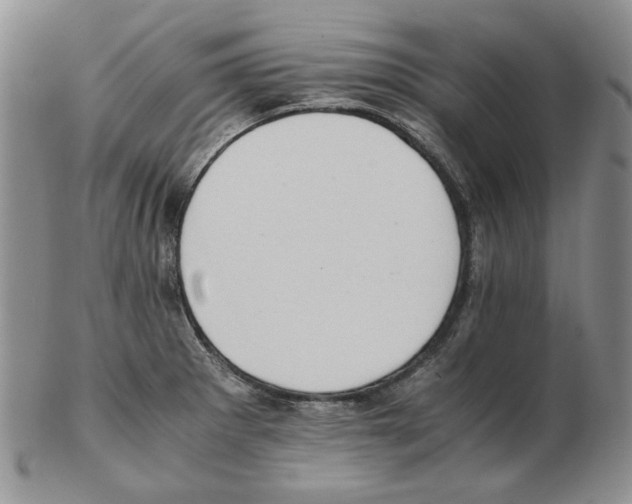 X0000102761281200809151006