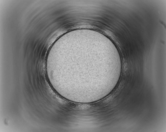 X0000102761282200809151006