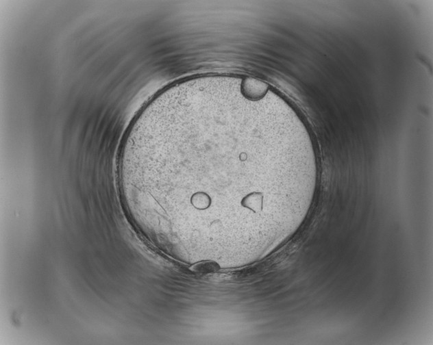 X0000102761283200809151006