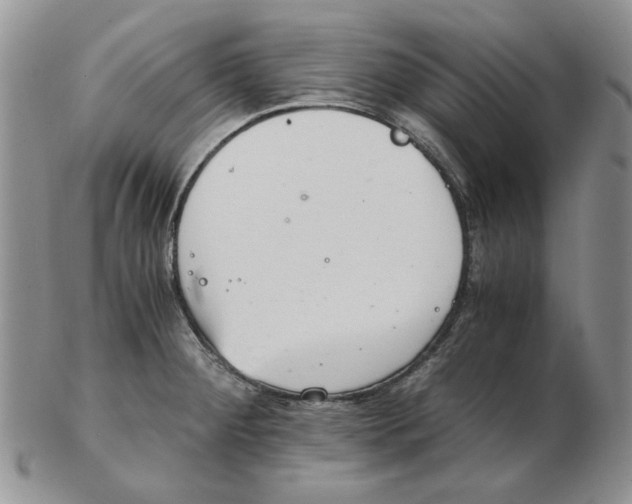 X0000102761284200809151006