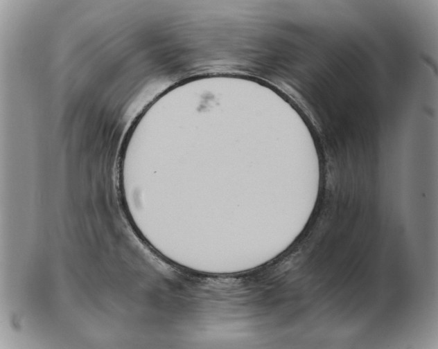 X0000102761285200809151006