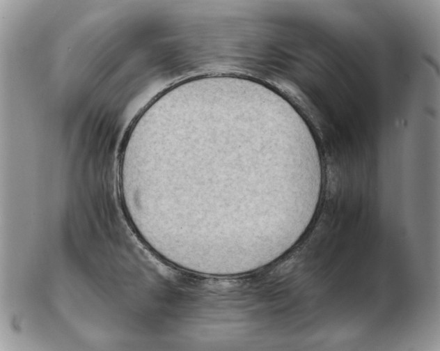 X0000102761286200809151006