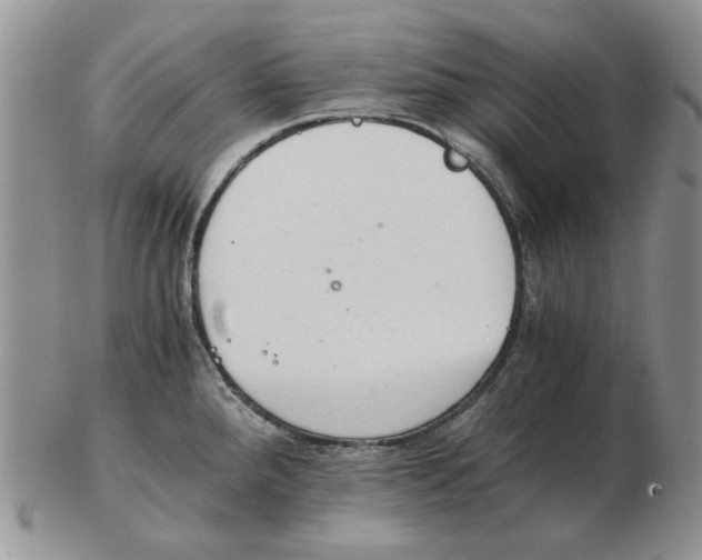 X0000102761288200809151006