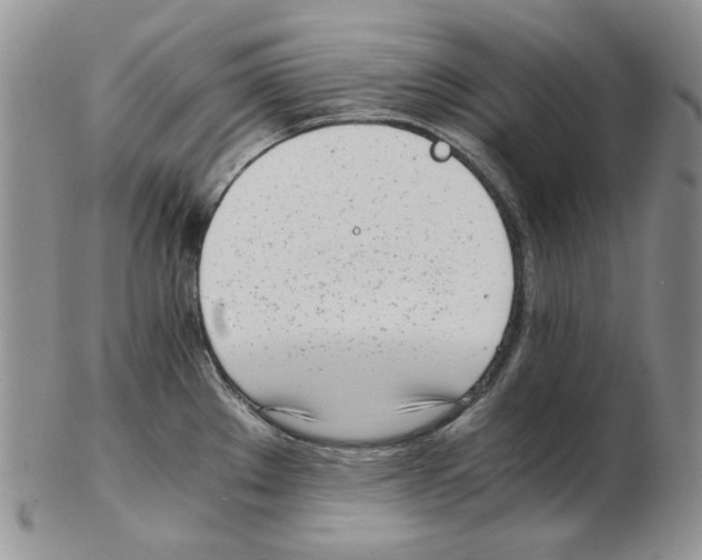 X0000102761289200809151006