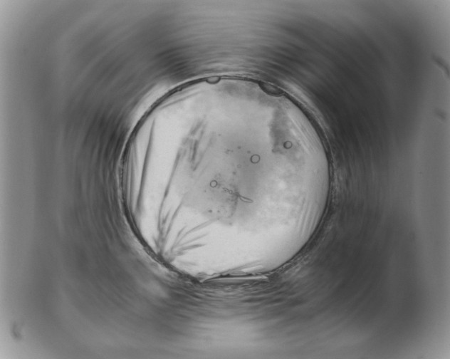 X0000102761291200809151006