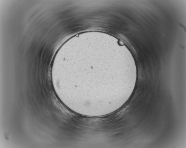 X0000102761292200809151005