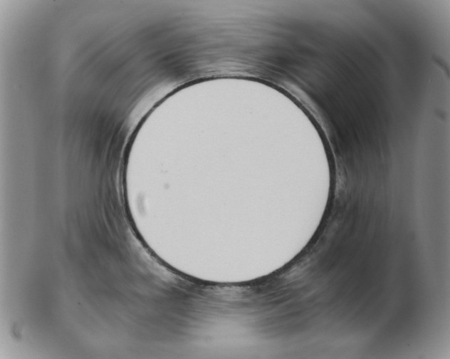 X0000102761293200809151005