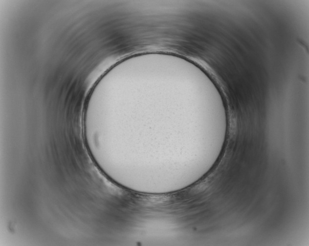 X0000102761294200809151005