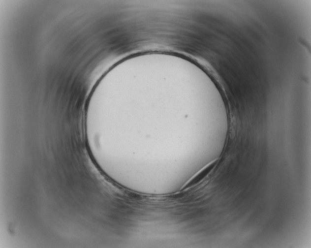 X0000102761295200809151005