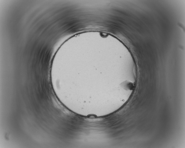 X0000102761296200809151005