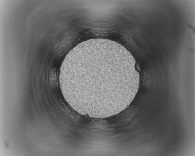 X0000102761298200809151005