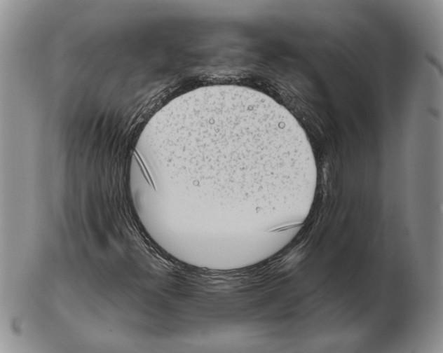 X0000102761300200809151005