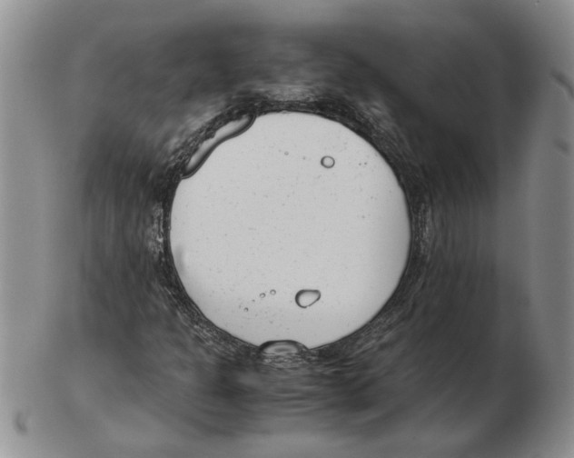 X0000102761301200809151005