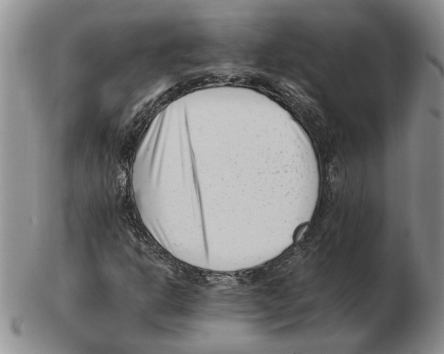 X0000102761302200809151005