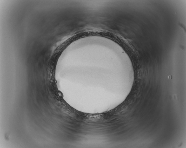 X0000102761303200809151005