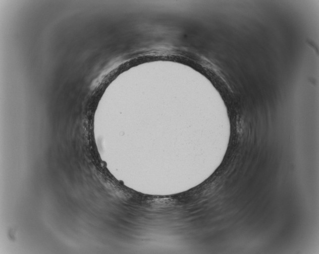 X0000102761304200809151005