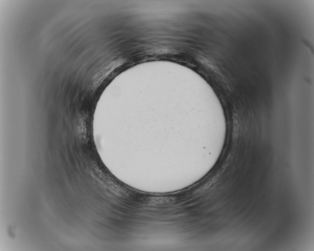 X0000102761305200809151005