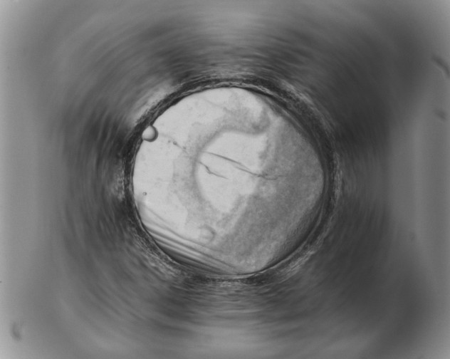 X0000102761306200809151005