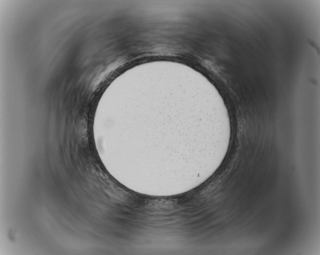 X0000102761307200809151005