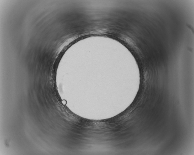 X0000102761308200809151005