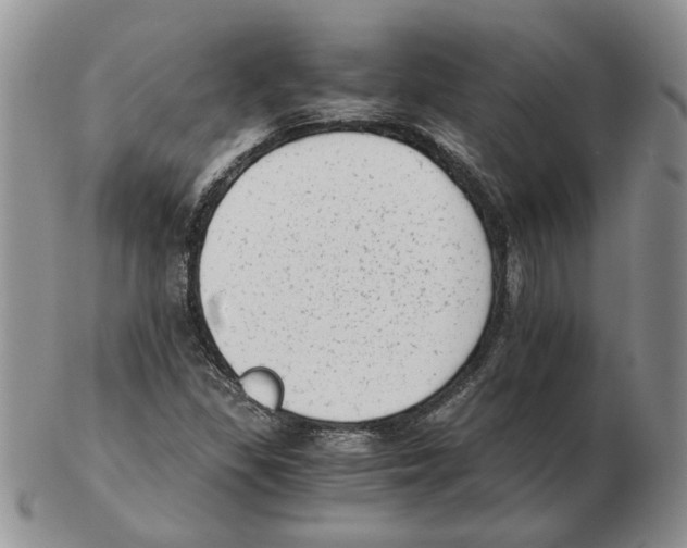 X0000102761309200809151005