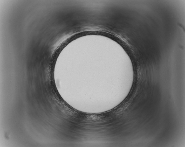 X0000102761311200809151005