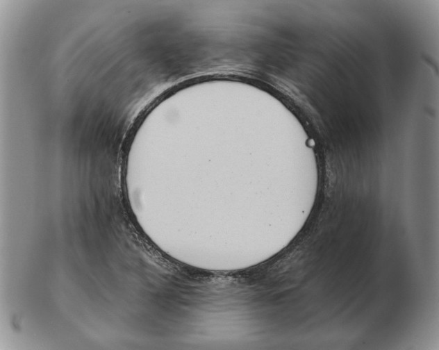 X0000102761316200809151005