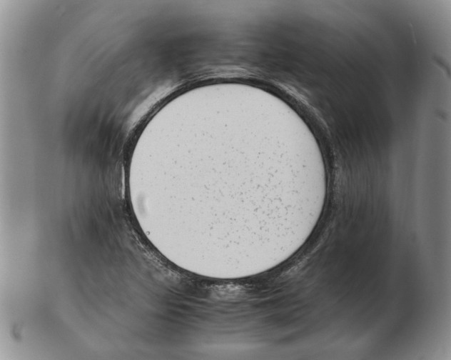 X0000102761317200809151005