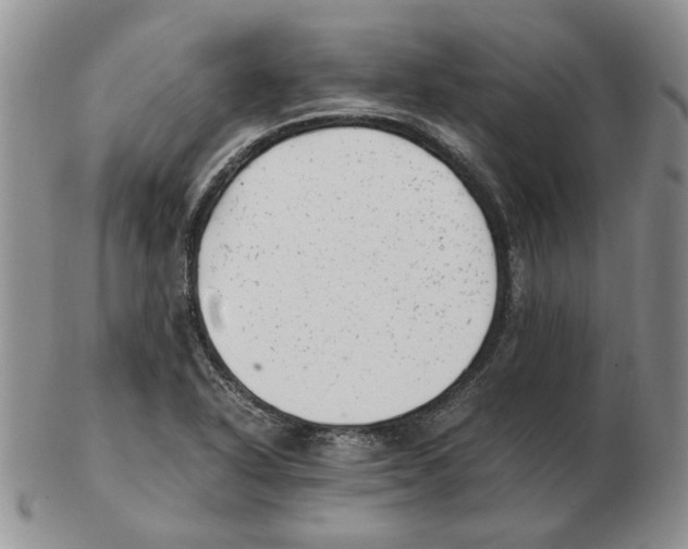 X0000102761318200809151005