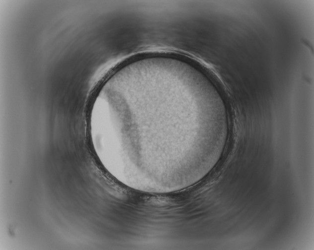 X0000102761319200809151005