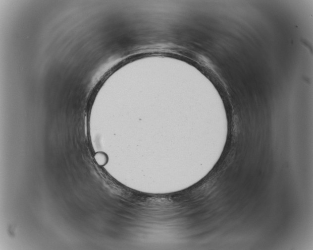 X0000102761320200809151005