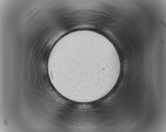 X0000102761321200809151005