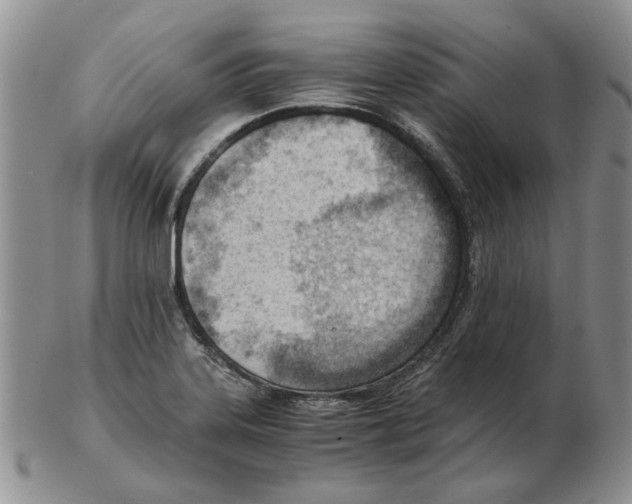 X0000102761323200809151005