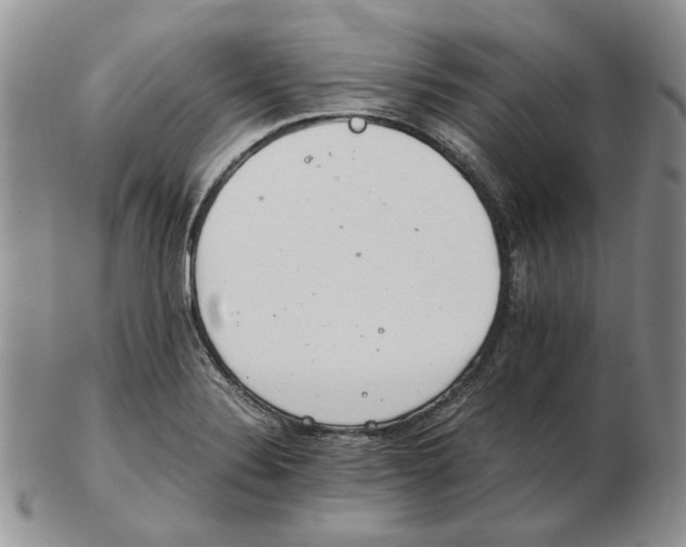 X0000102761324200809151005