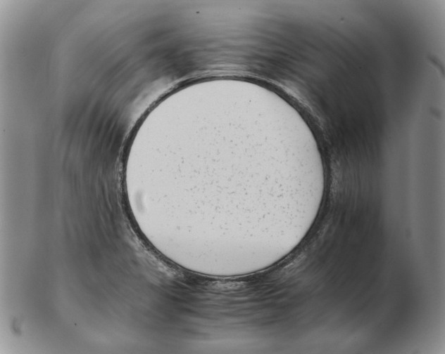 X0000102761325200809151005