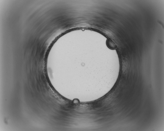 X0000102761326200809151005