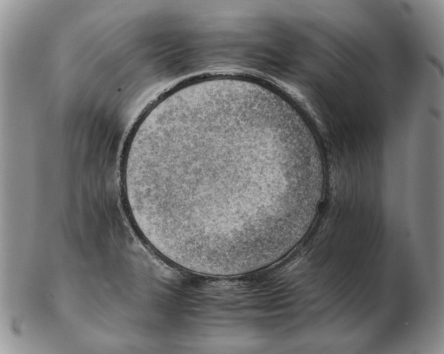 X0000102761327200809151005