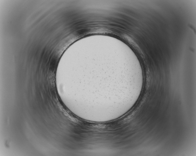 X0000102761329200809151005