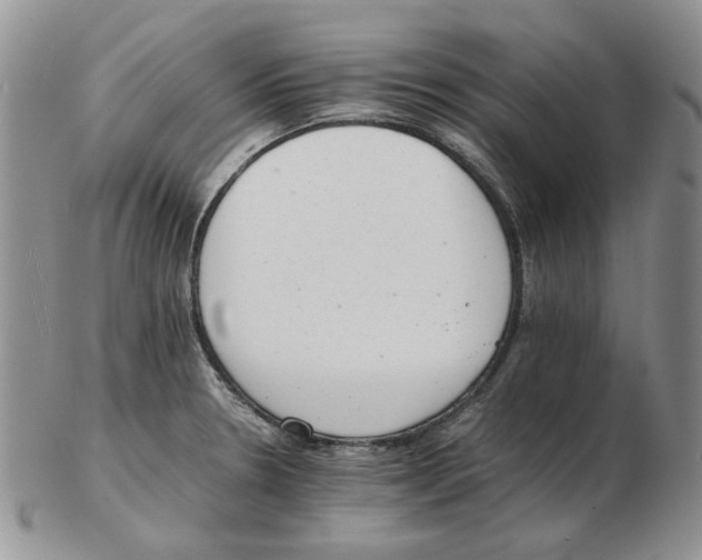 X0000102761330200809151005