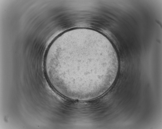 X0000102761331200809151005