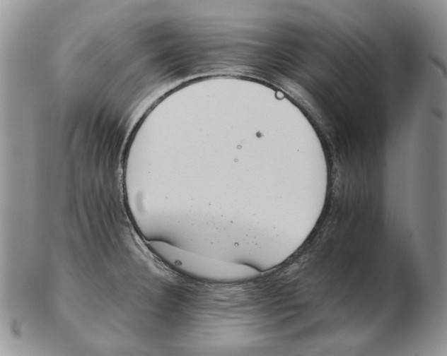 X0000102761332200809151005