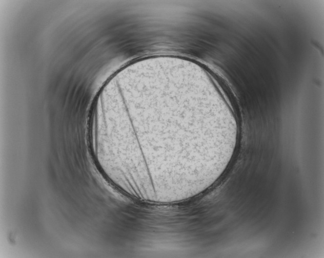 X0000102761333200809151005