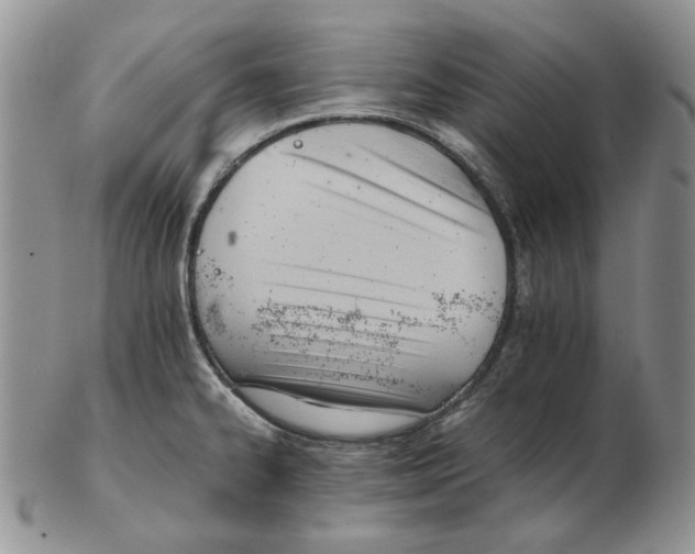 X0000102761334200809151005