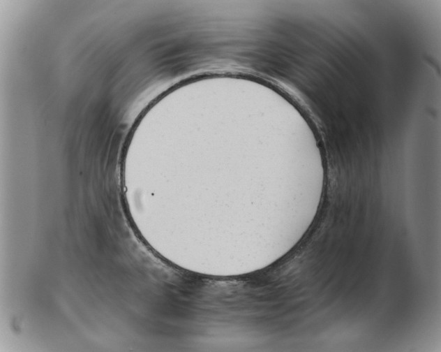 X0000102761335200809151005